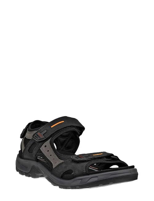 ECCO | Offroad | 44