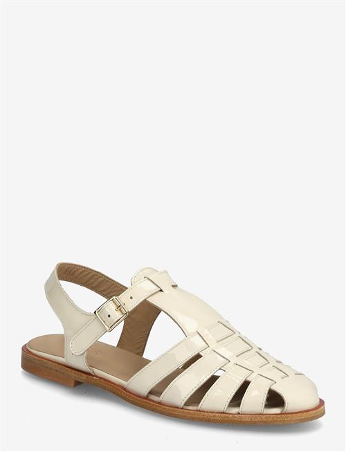 ANGULUS | Sandals - Flat  - Closed Toe - Op | 40.5