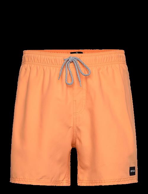 Rip Curl | Offset 15 Volley | L
