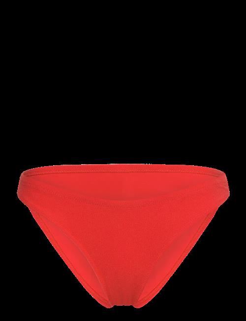 Understatement Underwear | Bikini Briefs | L