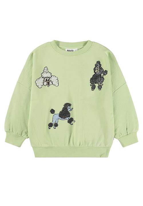 Molo GOTS Marika Sweatshirt Nile Green  Nile Green 122 cm  Grøn  122 cm  Piger