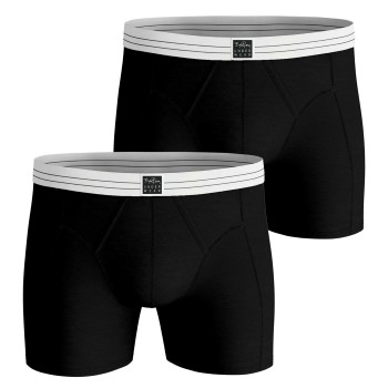 Björn Borg 2P Viscose Cotton Blend Boxers Flerfarvet Large Herre