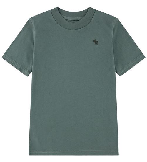 Abercrombie & Fitch T-Shirt - Laurel Wreath