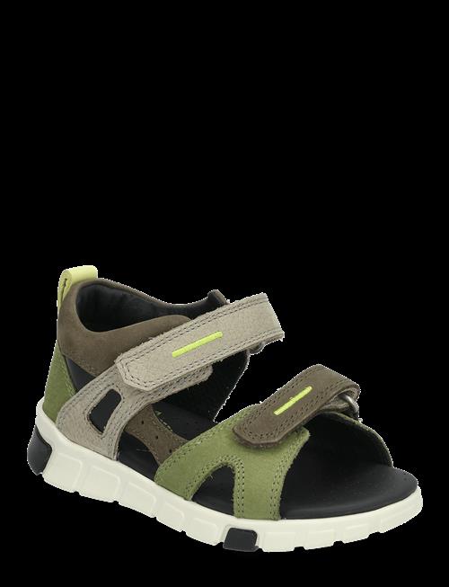 ECCO | Mini Stride Sandal | 22