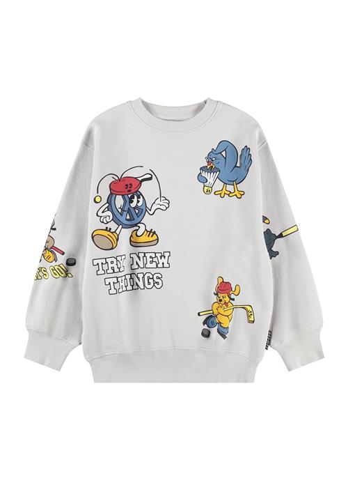 Molo Monti Sweatshirt Curious Mates  Curious Mates 140 cm  Grå  140 cm  Drenge