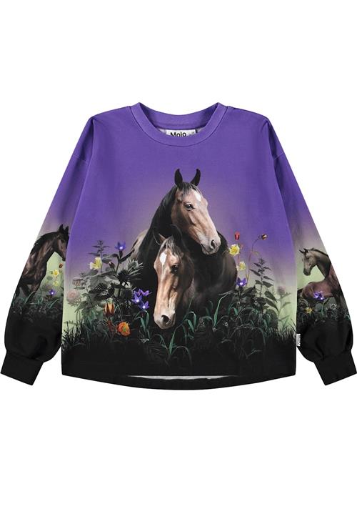 Molo Reniza Sweatshirt Mystic Horses  Mystic Horses 122 cm  Lilla  122 cm  Piger