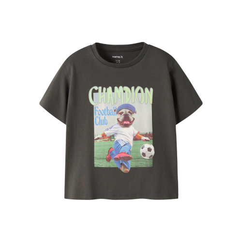 NAME IT T-shirt Laus Peat