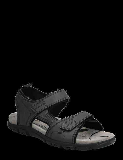 GEOX | Uomo Sandal Strada B | 46