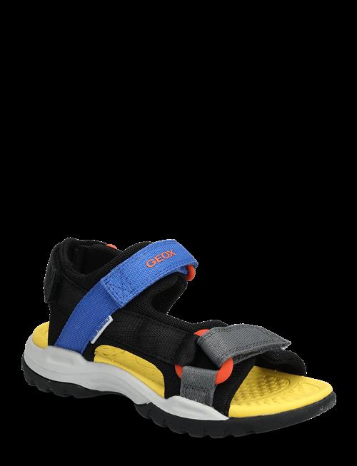 GEOX | J Borealis Boy E | 33