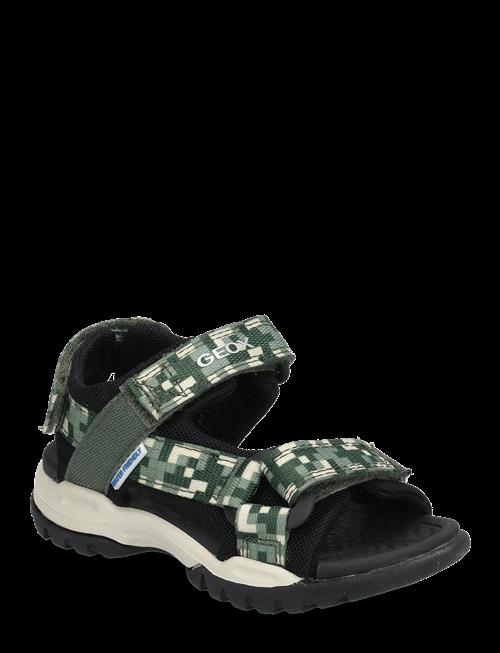 GEOX | J Borealis Boy E | 25