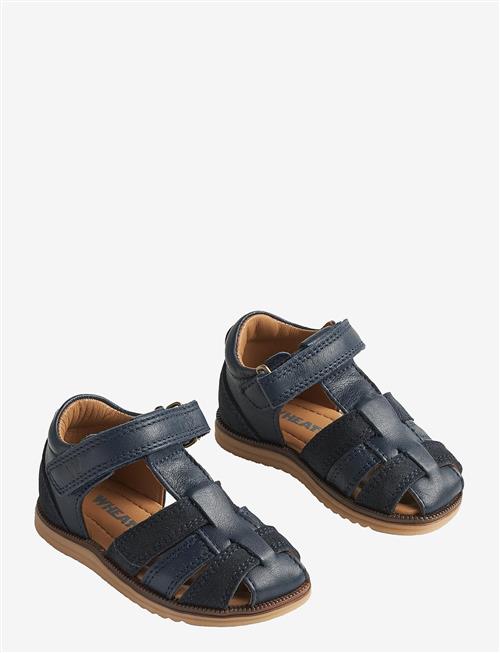 Wheat | Sandal Sky | 24