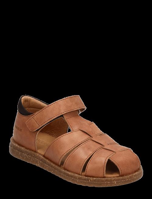 ANGULUS | Sandals - Flat  - Closed Toe | 29