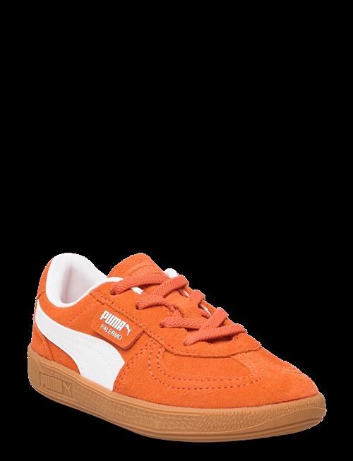 PUMA | Palermo Ac Inf | 19