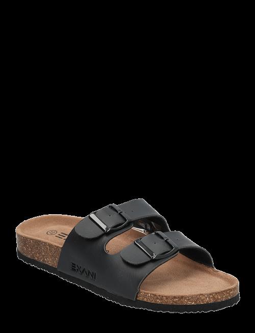 Exani | Spectra W | 39