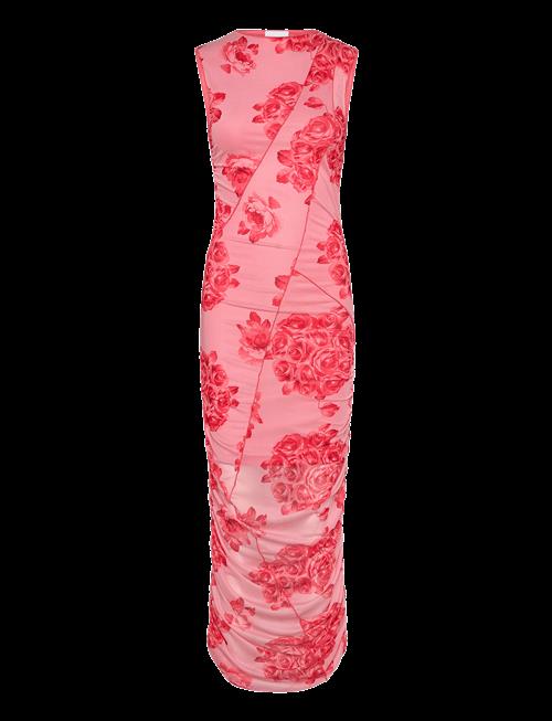 Noella | Sutton Dress | XL