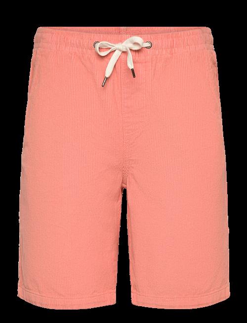 Lindbergh | Corduroy Shorts | XL