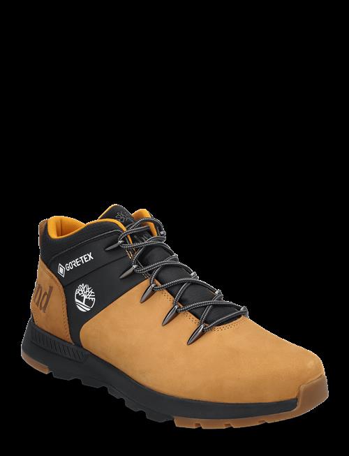 Timberland | Mid Lace Up Waterproof Sneaker | 42