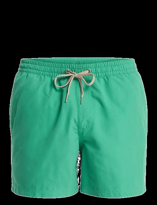 Quiksilver | Everyday Volley 15 | XXL