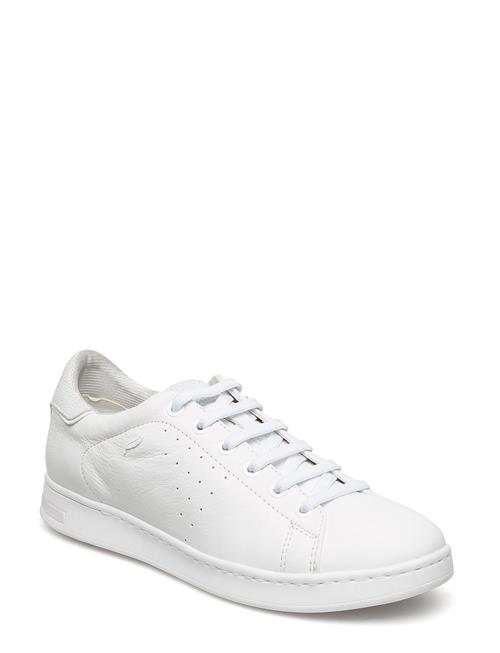 GEOX | D Jaysen A | 40