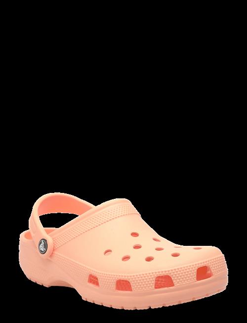 Crocs | Classic | 39/40