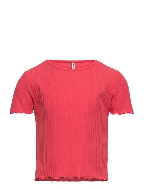 Kids Only | Kognella S/S O-Neck Top Noos Jrs | 146-152