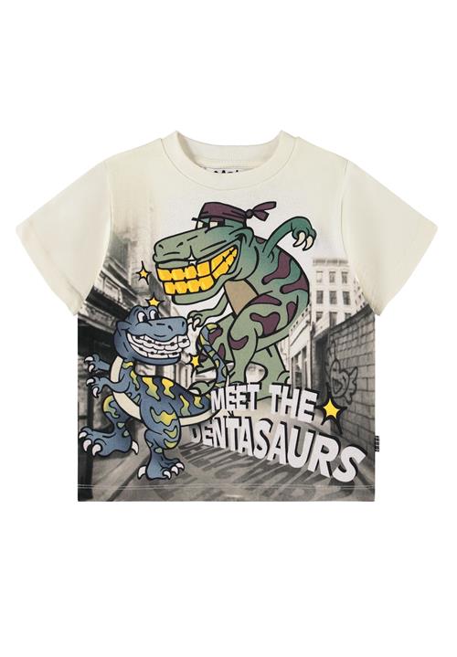 Molo Rodney T-Shirts Short Sleeves Roar Explore Roar Explore 98 cm  Hvid  98 cm  Drenge