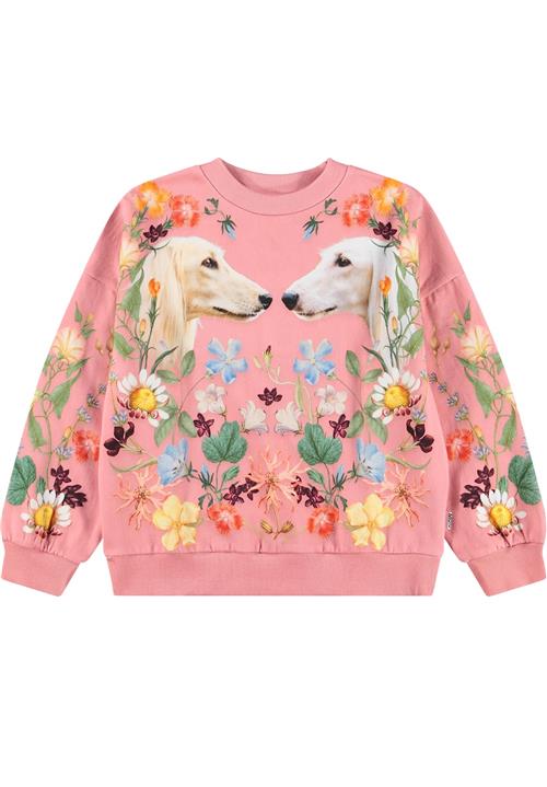 Molo Maxi Sweatshirt Afghan Hounds  Afghan Hounds 122 cm  Lyserød  122 cm  Piger