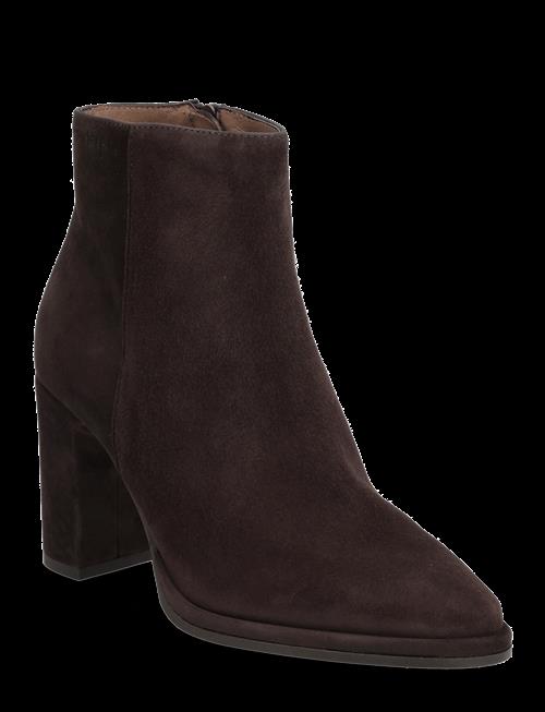 Wonders | Ostro | 42