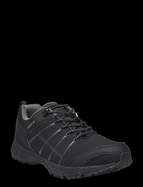 Exani | Capitan Low M | 43