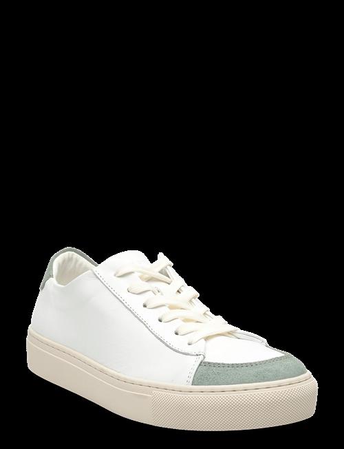 Sneaky Steve | Nagore U White | 40