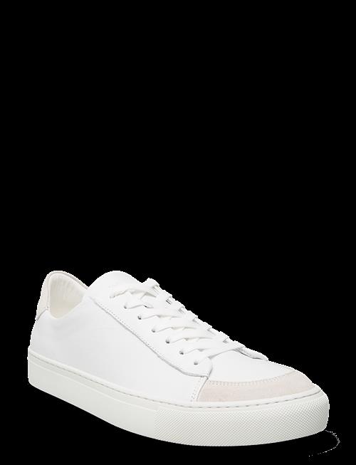 Sneaky Steve | Nagore U White | 40
