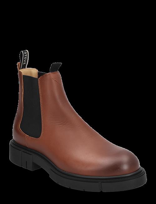 Sneaky Steve | Cashville U Cognac | 37