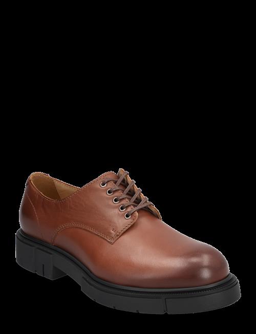 Sneaky Steve | Denver U Black | 37