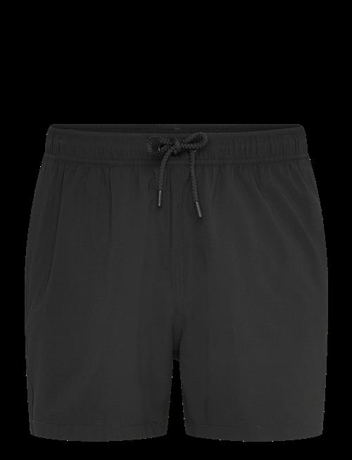 Björn Borg | Borg Seersucker Swim Shorts | L