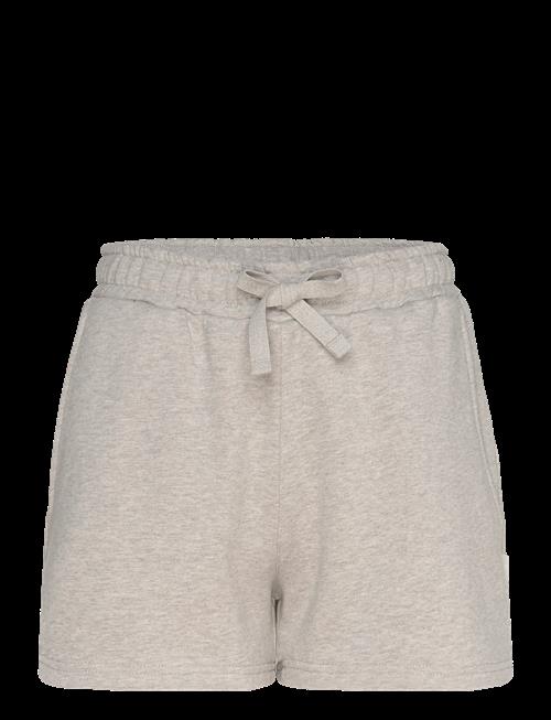 Björn Borg | Centre Sweatshorts | XL