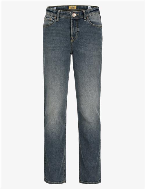 Jack & Jones | Jjiclark Jjoriginal Akm 049 Noos Jnr | 146