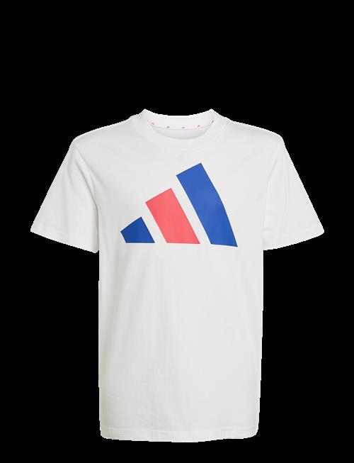 adidas Sportswear | J Bl Tee 160 | 164