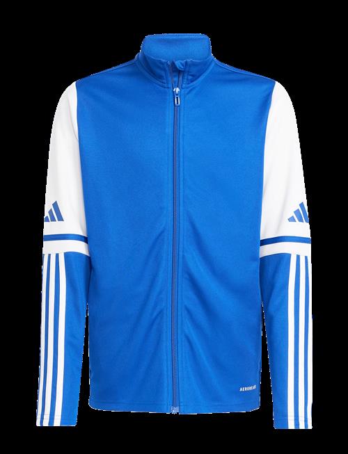 adidas Performance | Sq25 Tr Jkt Y | 176