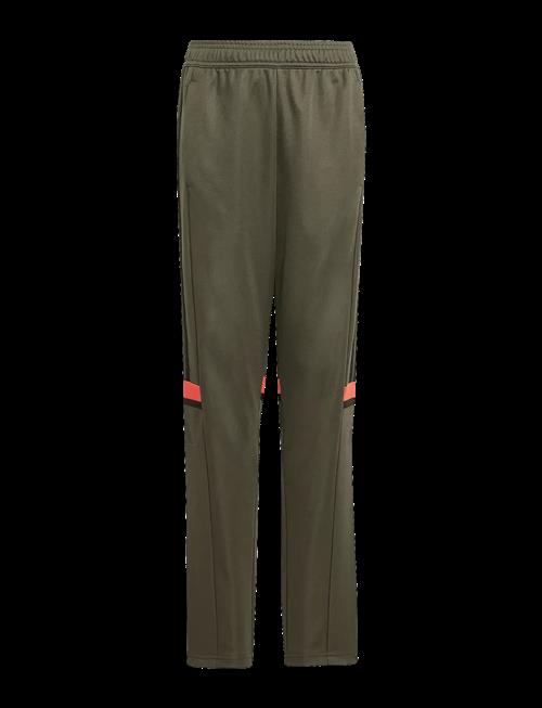 adidas Performance | Sq25 Tr Pnt Y | 176