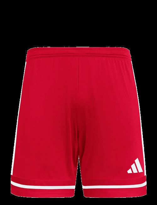 adidas Performance | Squa25 Sho M | XS