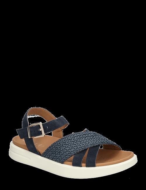 GEOX | D Xand 2S B | 35