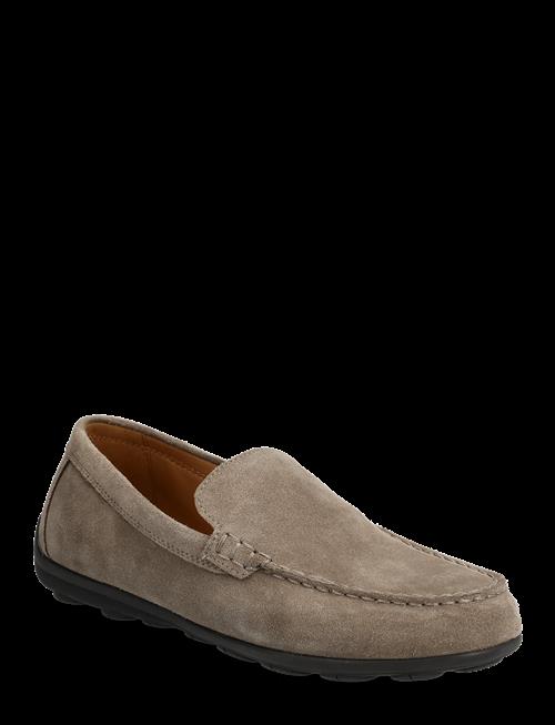 GEOX | U Spherica Ec16 A | 42