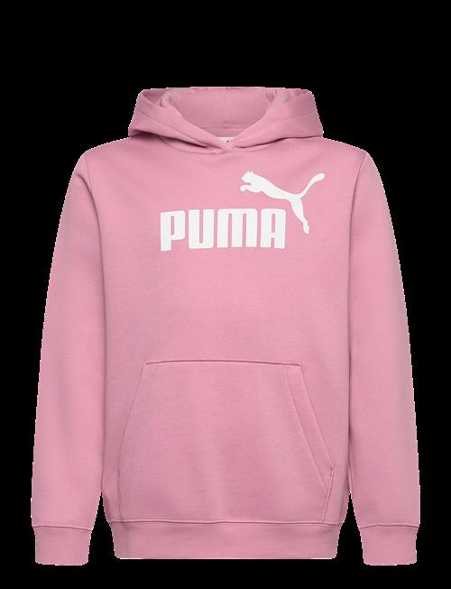 PUMA | Ess No. 1 Logo Hoodie Fl G | 164