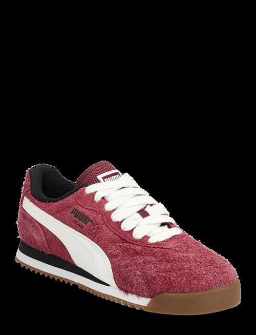 PUMA | Roma Anniversario Suede | 37.5