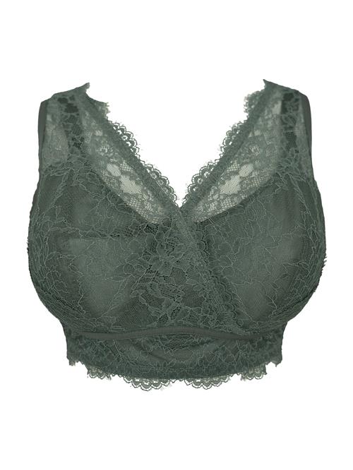SugarShape BH  oliven