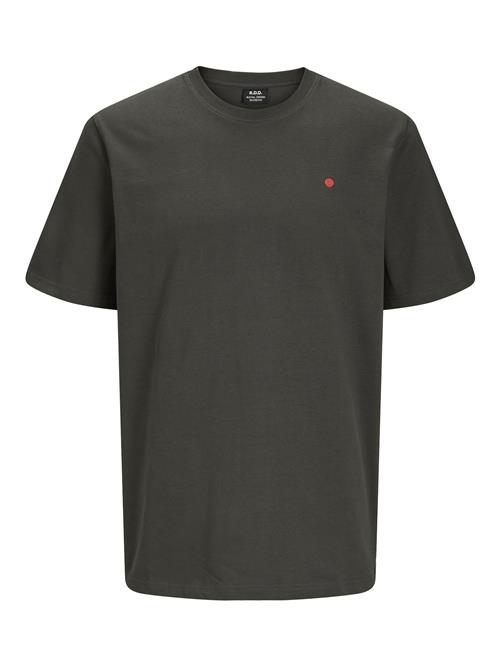 R.D.D. by Jack & Jones Bluser & t-shirts 'RDDROAD'  gran