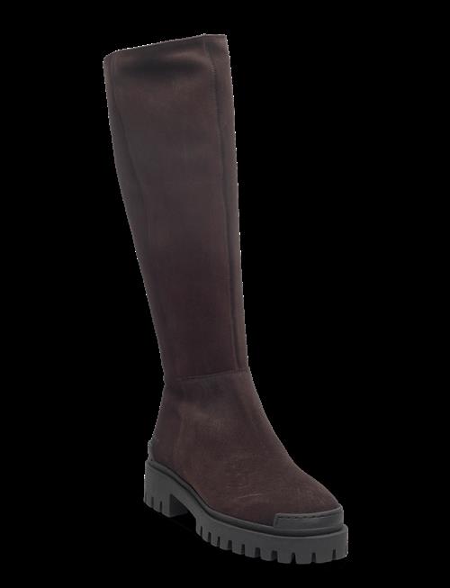 ANGULUS | Boots - Flat | 42