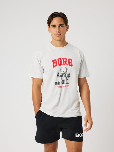 Björn Borg Borg Classic Print T-shirt Grå, M