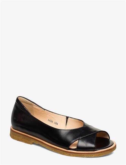 ANGULUS | Sandals - Flat - Open Toe - Clo | 38.5