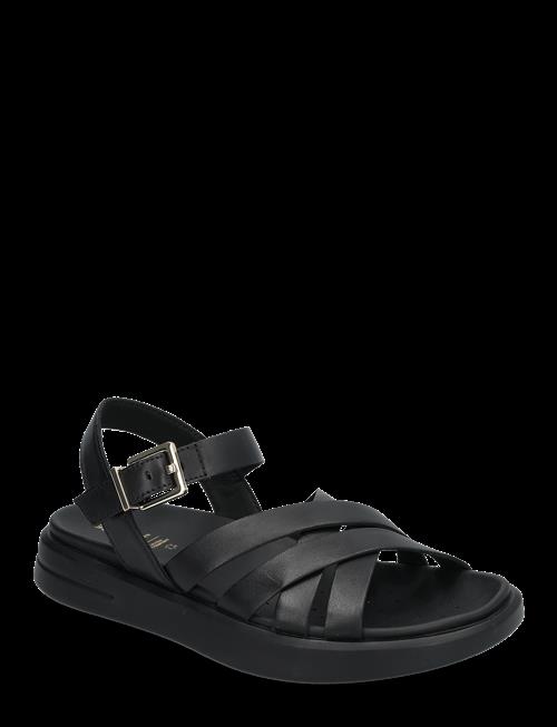 GEOX | D Xand 2S B | 39